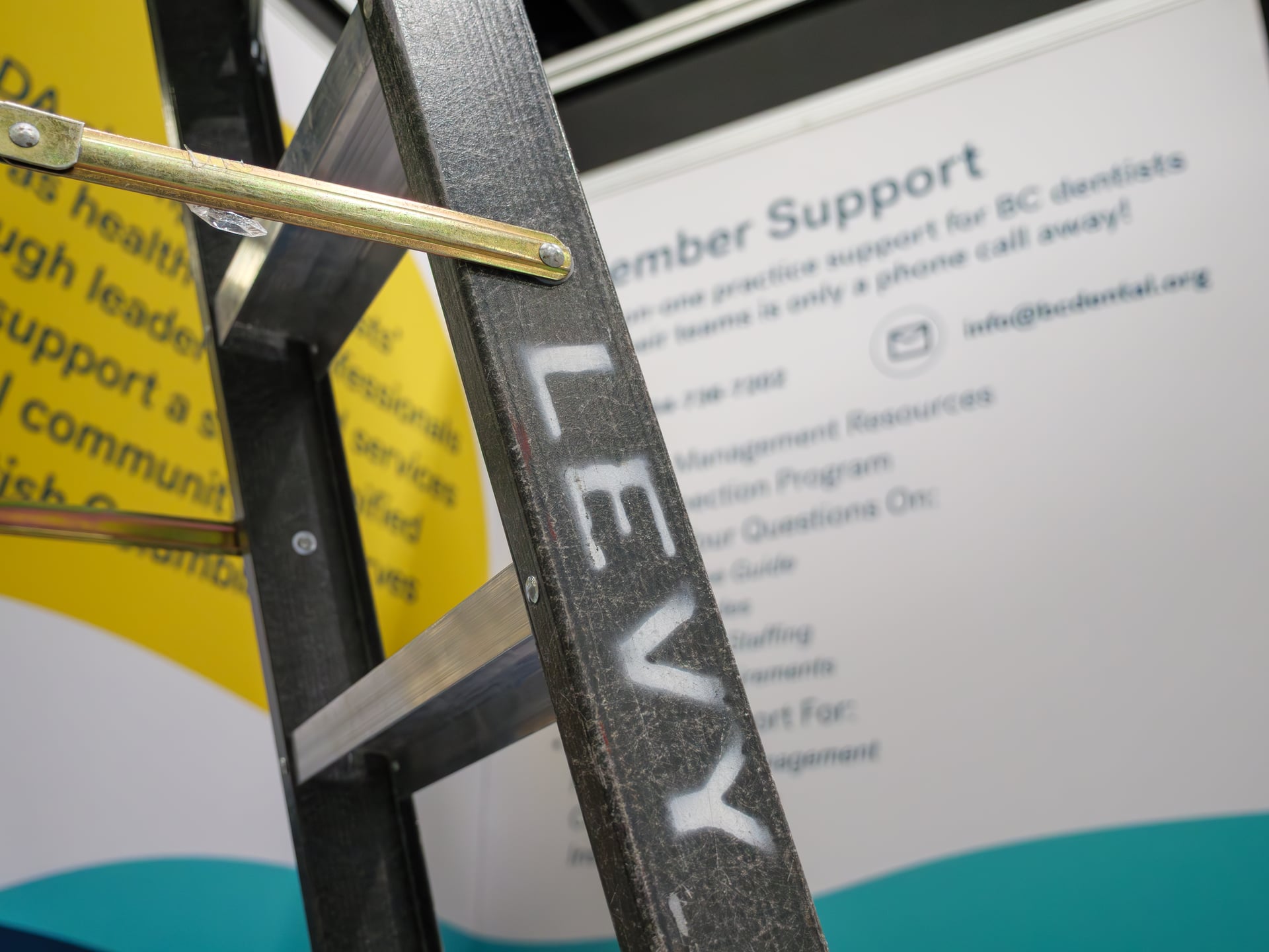 A close-up of the word "LEVY" stencil-painted in white on the side rail of one of the company’s aluminium ladders.